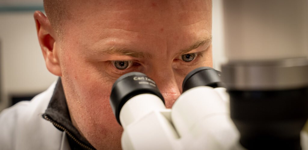Regard dans un microscope
